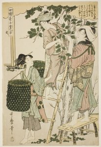 Numara. 2 (ni), "İplikçilik Sektöründe Çalışan Kadınlar" dizisinden by Kitagawa Utamaro