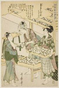 6 numara (roku), "İpek Kültürü Sektöründe Çalışan Kadınlar (Joshoku kaiko tewaza-gusa)" serisinden by Kitagawa Utamaro