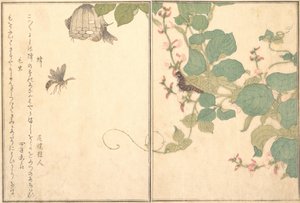 Kağıt Yaban Arısı Hachi, Tüylü Tırtıl Kemushi..., 1788. by Kitagawa Utamaro