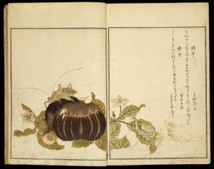 Resimli Kitap: Seçilmiş Böcekler (Ehon mushi erabi) by Kitagawa Utamaro