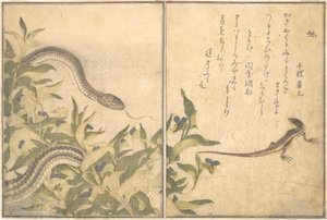 Sıçan Yılanı Hebi, Kertenkele veya Skink Tokage..., 1788. by Kitagawa Utamaro