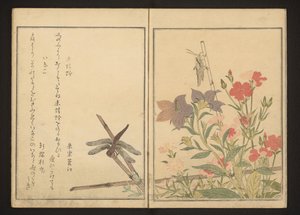 Pembeler tarafından kırmızı yusufçuk ve çekirge by Kitagawa Utamaro