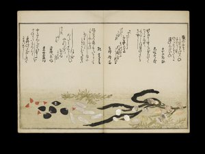 Shell Book olarak bilinen Shiohi no tsuto (Gelgitten Gelen Hediyeler), 1789 (renkli tahta baskı) by Kitagawa Utamaro