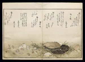 Shell Book olarak bilinen Shiohi no tsuto (Gelgitten Gelen Hediyeler), 1789 (renkli tahta baskı) by Kitagawa Utamaro