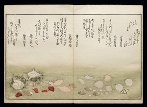 Shell Book olarak bilinen Shiohi no tsuto (Gelgitten Gelen Hediyeler), 1789 (renkli tahta baskı) by Kitagawa Utamaro