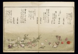 Shell Book olarak bilinen Shiohi no tsuto (Gelgitten Gelen Hediyeler), 1789 (renkli tahta baskı) by Kitagawa Utamaro