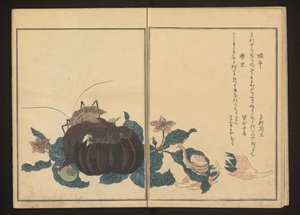 Patlıcan üzerinde salyangoz ve gürültülü kriket by Kitagawa Utamaro
