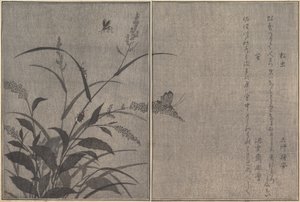 Ağaç kriket Matsumushi, Ateşböceği Hotaru..., 1788. by Kitagawa Utamaro