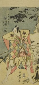Ichikawa Monnosuke Kura, Tadaomizo