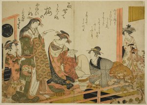 Yotsumeya