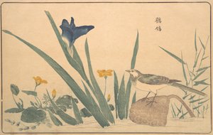 Alaca Kuyruklu Kuyruk, 1789. by Kitao Masayoshi