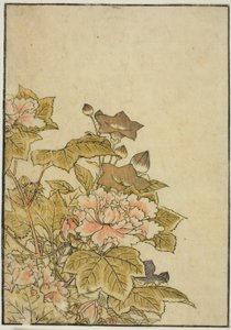 Sonbahar Çiçekleri: Peonies and Bellflowers, "Zevk Alanlarının Güzel Kadınlarının Aynası (Seiro bijin awase sugata kagami)" kitabından, cilt. ２ by Kitao Shigemasa