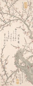 Blossom