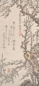 Blossom