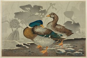 Lotus göletinde bir çift ördek by Kiyochika Kobayashi