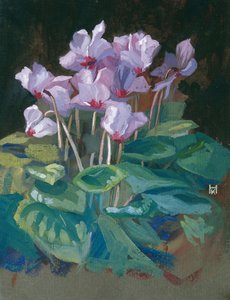  by Klara Hasslwander