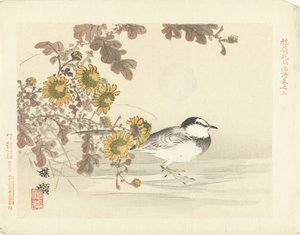 japon kuyruksallayan Bairei