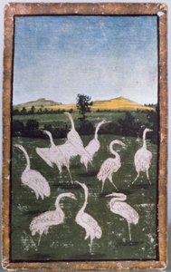 Tarladaki balıkçıllar, sarayda avlanma sahnelerini betimleyen bir dizi oyun kağıdından biri, Upper Rhein Bölgesi, c.1440-45 (kalem ve mürekkep, wc) (ayrıca bkz. 88300-04) by Konrad Witz