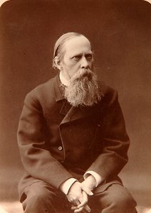 Mikhail Saltykov-Shchedrin, Rus yazar, 1880