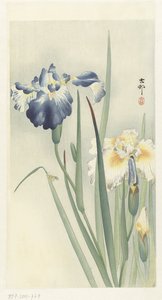 süsen by Ohara Koson
