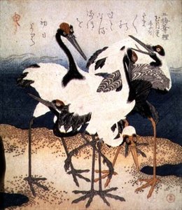 Beyaz Tüylü Beş Turna, Üç Yapraklı serisinden bir Kum Tükürüğü Üzerinde Çeşitli Pozlarda, 1816 dolayları (mürekkep) by Kubo Shumman