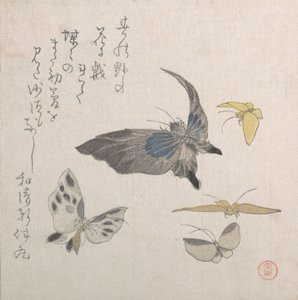 Kelebekler, 19. yüzyıl. by Kubo Shunman