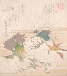 Kiraz Çiçekleri ve Çam Kozalakları, 19. yüzyıl. by Kubo Shunman