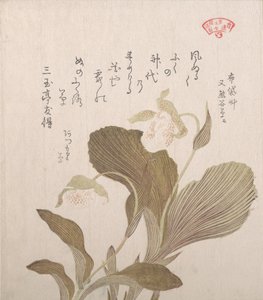 Hotei Çiçekleri, 19. yüzyıl. by Kubo Shunman