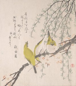 Erik Ağacı ve Söğütlü Japon Beyaz Gözleri..., yakl. 1810. by Kubo Shunman