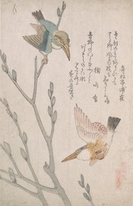 Kingfishers ve Pussy-söğüt, 19. yüzyıl.