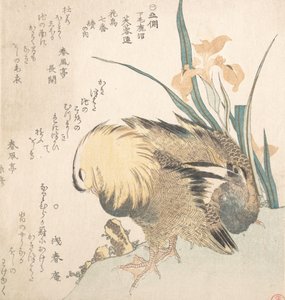 Mandarin Ördeği ve İris Çiçekleri çifti, 18. yüzyılın sonları ve 19. yüzyılın başlarında. by Kubo Shunman