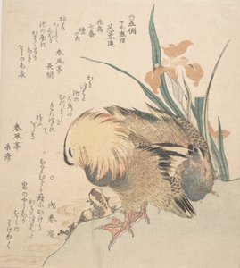 Mandarin Ördeği ve İris Çiçekleri çifti, 18. yüzyılın sonları ve 19. yüzyılın başlarında. by Kubo Shunman