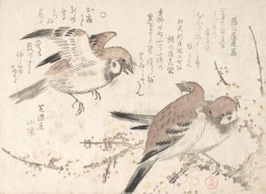 Serçeler ve Erik Çiçekleri, 19. yüzyıl. by Kubo Shunman
