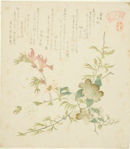 "Yomogawa Kasumi-ren haru no kusaki no uchi) "Yomogawa Kasumi-ren haru no kusaki no uchi) "İlkbahar Bitkileri ve Yomo Grubunun Kasumi Şiir Çevresi için Ağaçlar" serisinden çeşitli Bahar Çiçekleri by Kubo Shunman