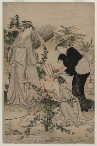 Omi Eyaletindeki Noji Tama Nehri, Çalı Yoncasının Dallarını Kesen Kadınlar ..., 1780