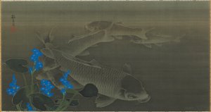 Sazan, Edo dönemi, 19. yüzyılın başı. by Kuroda Toko