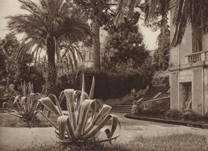 Roma: Vatikan Bahçesinde (s/b fotoğraf) by Kurt Hielscher