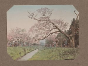 Koganei, Tokyo, Japonya