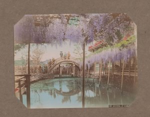 Kameido, Tokyo, Japonya'da ön planda çiçek açan wisteria ile bir köprüde insanlar by Kusakabe Kimbei