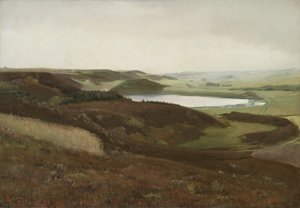 Bryrup, Jutland yakınlarında bir manzara by Laurits Andersen Ring