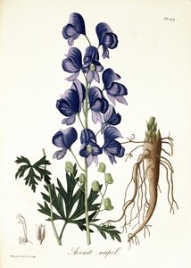 Joseph Roques (1772-1850) tarafından 1821