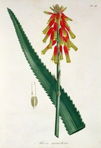 1821