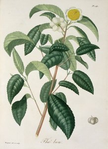 Joseph Roques (1772-1850) tarafından 1821