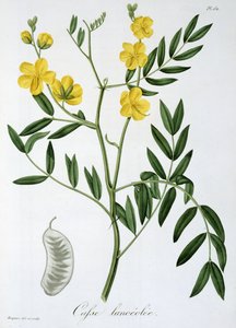 1821