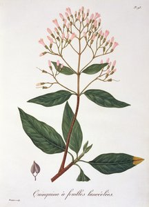 Joseph Roques (1772-1850) tarafından 1821