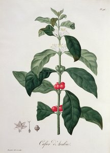 Joseph Roques (1772-1850) tarafından 1821