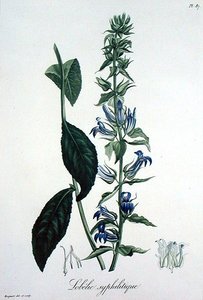 Joseph Roques (1772-1850) tarafından 