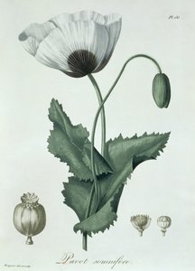 Joseph Roques (1772-1850) tarafından 1821