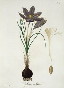 1821