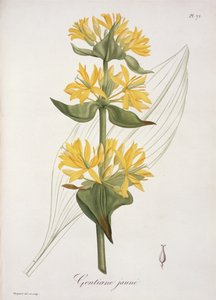 Joseph Roques (1772-1850) tarafından 1821